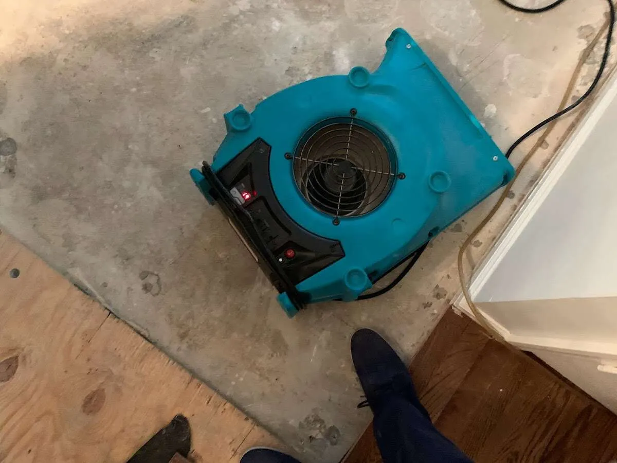Air mover drying subfloor during Leak Detection & Repair in Lynbrook